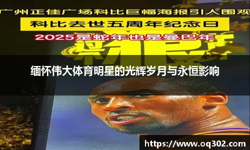 DB旗舰官网