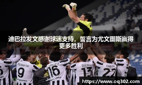 DB旗舰首页