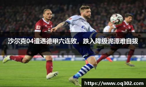 DB旗舰首页