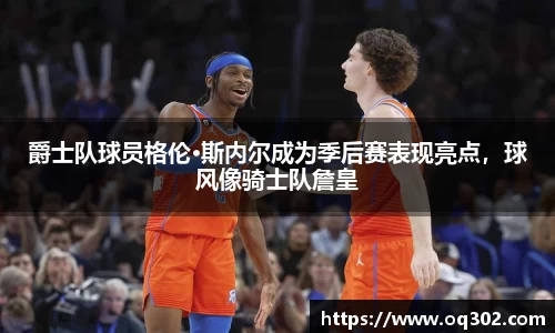 DB旗舰官网