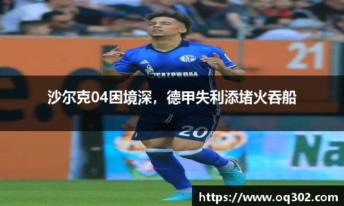 DB旗舰官网