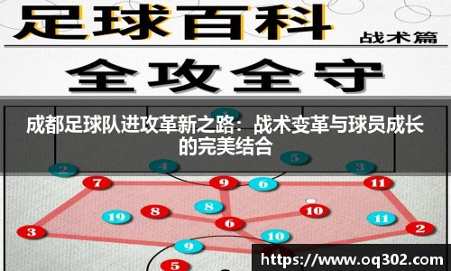 DB旗舰