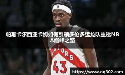 DB旗舰官网