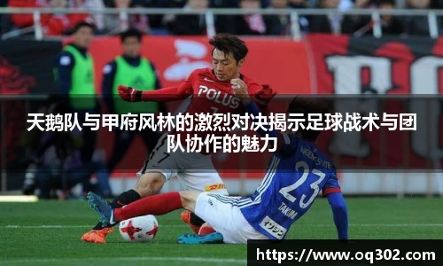 DB旗舰首页