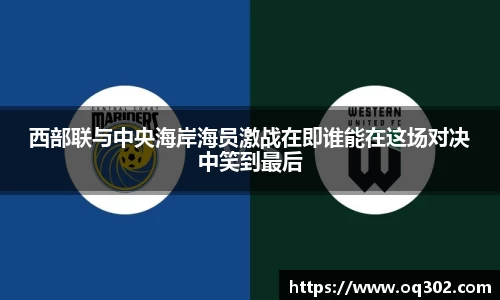 DB旗舰