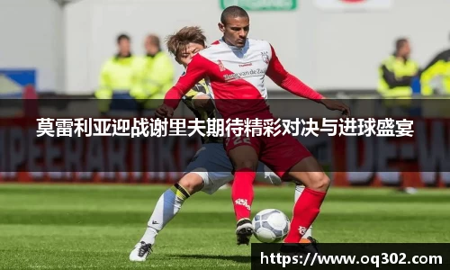 DB旗舰官网