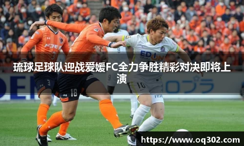 DB旗舰官网