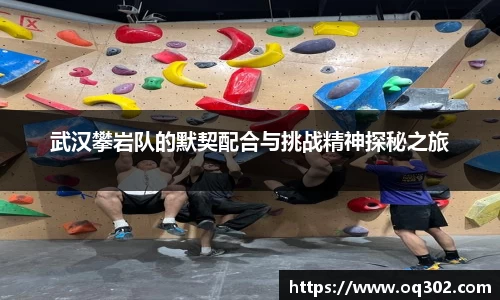 DB旗舰官网